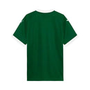 Camisola Principal  Palmeiras 2025-2026