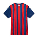 🎀 Camisola Alternativa Feminina  Vermelha e Azul Bahia 2025-2026