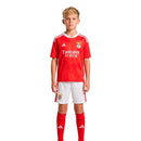 Kit Infantil Titular Benfica - Temporada Anterior