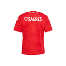Kit Infantil Titular Benfica - Temporada Anterior